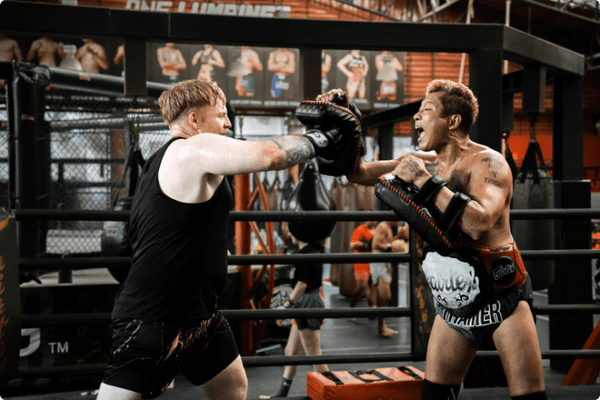 The Complete Fairtex Boxing Gloves Guide: Find Your Perfect Model (2025 Edition) - MMA Warehouse