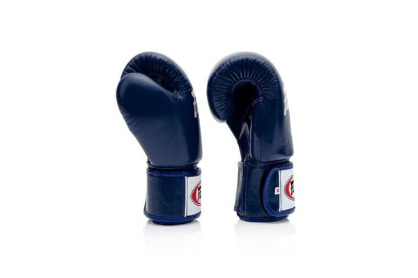 Fairtex BGV1 Universal Boxing Gloves - MMA Warehouse
