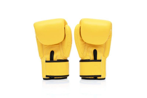 Fairtex BGV1 Universal Boxing Gloves - MMA Warehouse