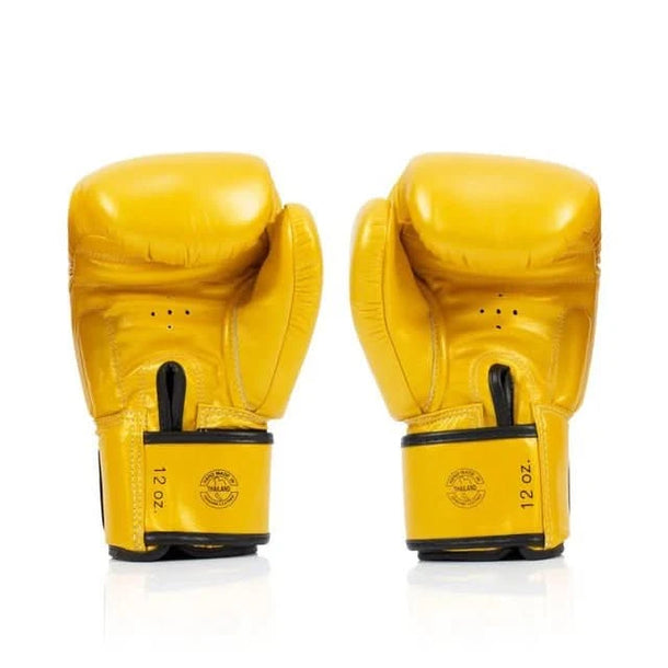 Fairtex BGV19 Deluxe Tight - Fit Boxing Gloves - MMA Warehouse