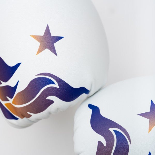 YOKKAO 'The Flame' Muay Thai Gloves - MMA Warehouse