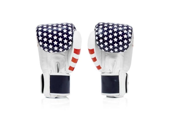 Fairtex BGV1 US Flag Boxing Gloves - MMA Warehouse