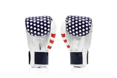 Fairtex BGV1 US Flag Boxing Gloves - MMA Warehouse
