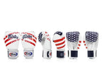 Fairtex BGV1 US Flag Boxing Gloves - MMA Warehouse