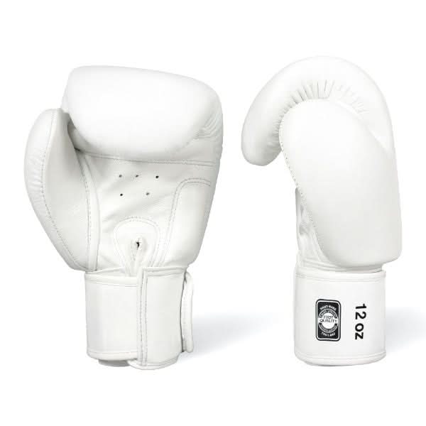 TWINS Special BGVL - 3 Muay Thai Gloves - MMA Warehouse