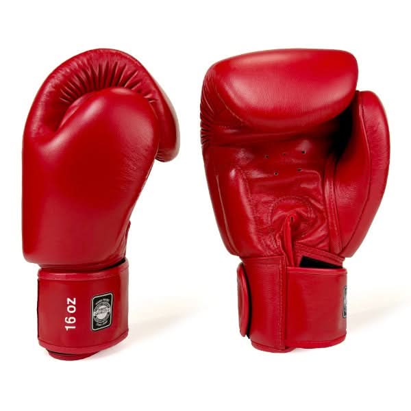 TWINS Special BGVL-3 Muay Thai Gloves - Leather